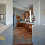 Alekos Houses-sundance Apartament