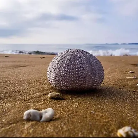 Apartamento Alekos Houses-sundance