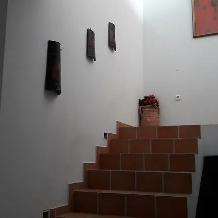 Alekos Houses-sundance