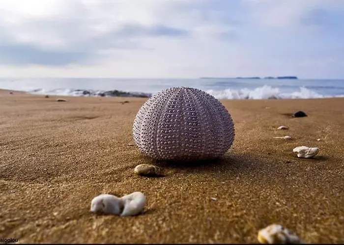 Lejlighed Alekos Houses-sundance